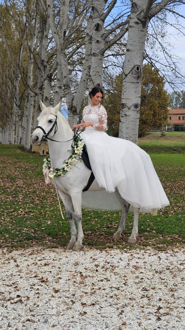 Fattoria Settepassi - 2