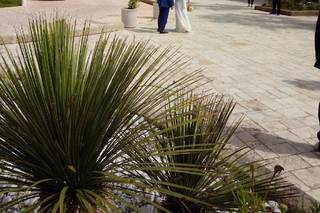 Masseria Tenuta Quintino - 10