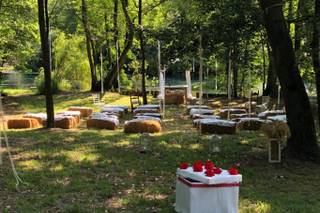 Agriturismo da Gastone - 17