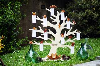 Albero sul lago - 25