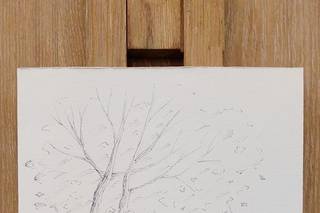 Studio d'Arte Betulle e Pesci Volanti - 1