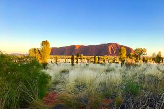 Vincenzo Vasciaveo - 7