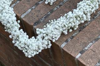 Vera Manca Weddings and Events Planner - 20