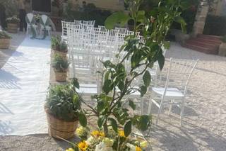Fioreria il Pothos - 8
