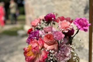 Centro Agricolo Gardesano - 8