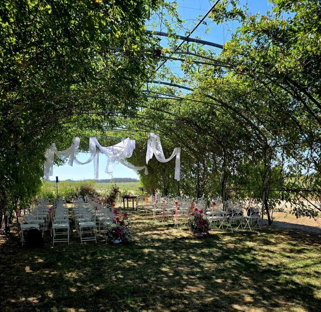 Il Giardino Segreto - 1