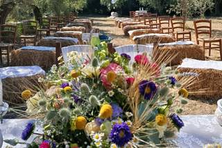 Agriturismo Terra Sabina - 10