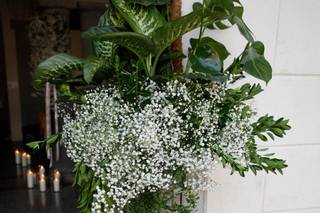 I Fiori di Isa - 7