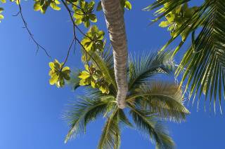 Fantasticando - Viaggi e Vacanze - 5