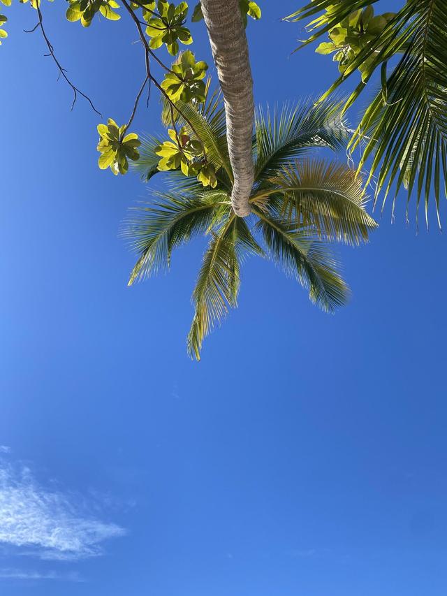Fantasticando - Viaggi e Vacanze - 1