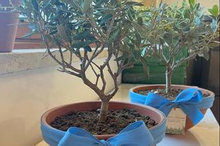 Gli Orti Della Tenuta - 29