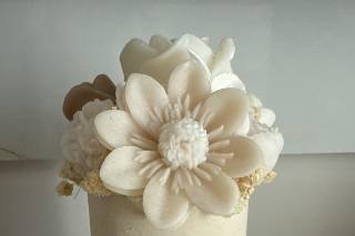Sabea Creation - 1