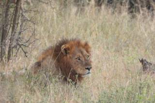 My Digital Travel Agency - 5