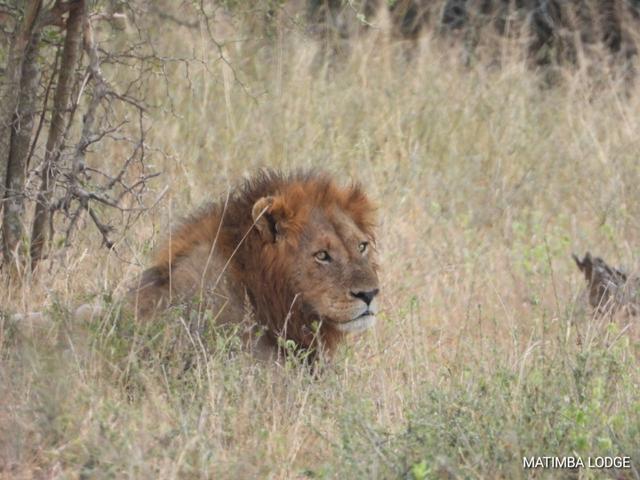 My Digital Travel Agency - 1