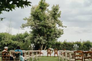 Ristorante Le Calandrine - 7