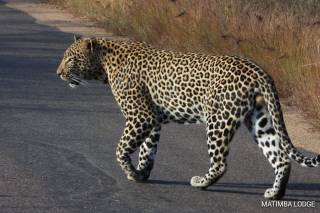 My Digital Travel Agency - 6