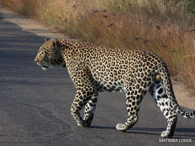 My Digital Travel Agency - 3