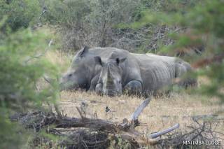 My Digital Travel Agency - 7