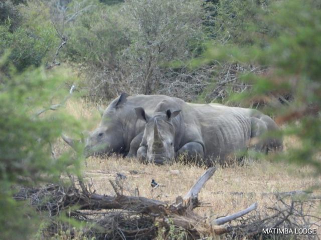 My Digital Travel Agency - 4