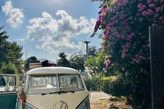 Vintage Experience - 10