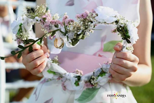 Fotolandia 5