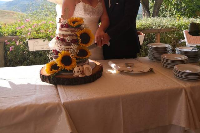 Agriturismo romantico Taverna di Bibbiano 2