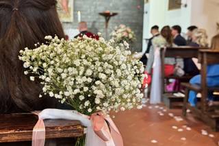 Ci vuole un Fiore e... - 6