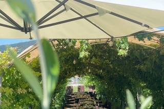 Cantina degli Abissi - 11