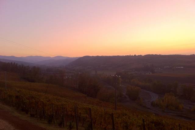 Azienda Montesissa 1
