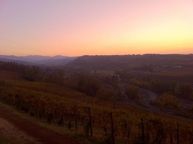 Azienda Montesissa - 1