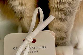 LAV- Dalla Parte degli Animali - 1