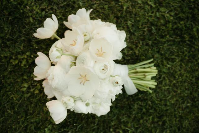 Lunaria Wedding - 1