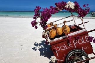 Cribor Travel Agency - 8