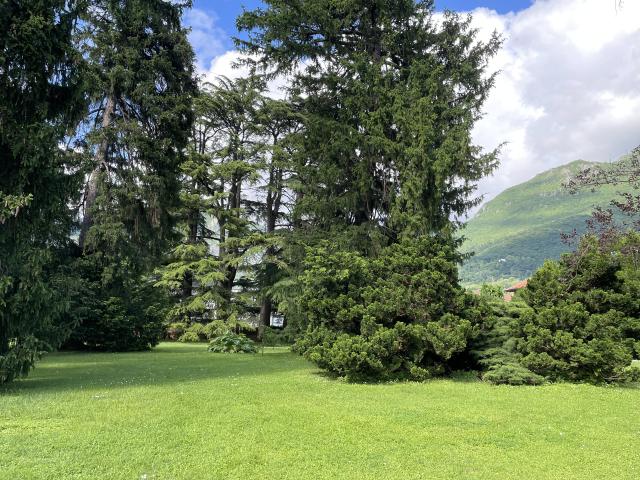 Villa Garzaia - 4