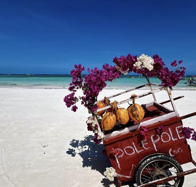 Cribor Travel Agency - 1