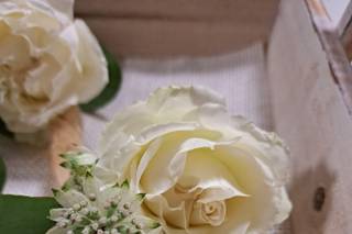 Centro Fiori Padova - 9