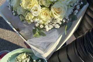 Edith B. Emotion - 5