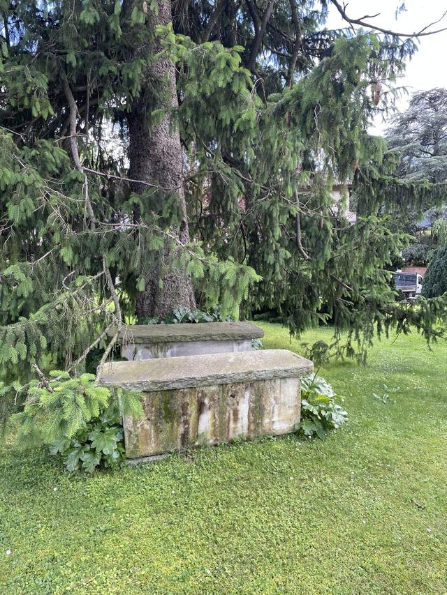 Villa Garzaia - 2