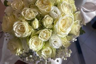 Edith B. Emotion - 6