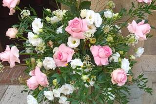 Orchidea di Kolarova Irena - 7