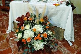 D'Agostino Antonino Piante&Fiori - 6