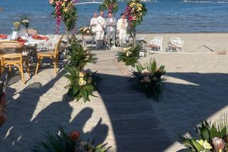 Gardenia di Paola Montanari - 9