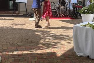 Martina Dry Trio - 1