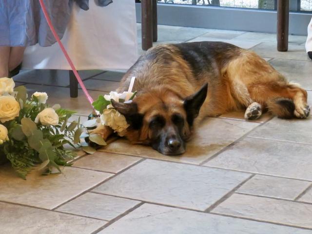 JB Wedding Events - 1