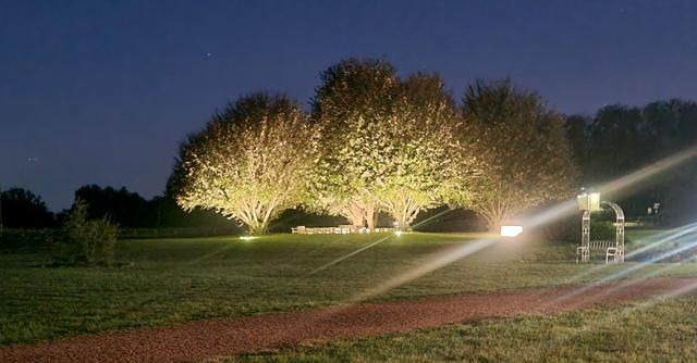 Parco Le Cicogne - 4