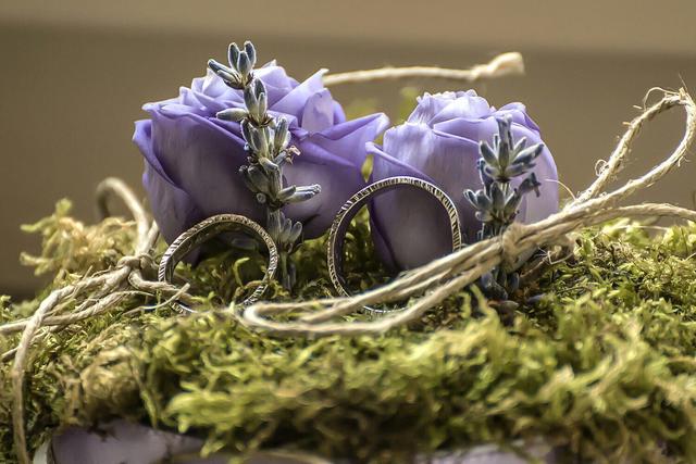 Zefiro event & creative lab - 1