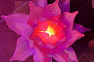 Il Giardino di Picis - 5