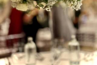 Fiorilandia Garden Center - 12