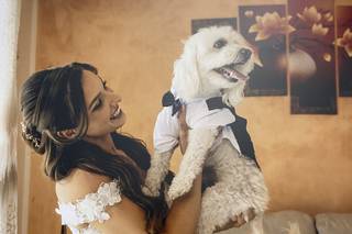 A Misura di Cane - Dog Sitter - 5