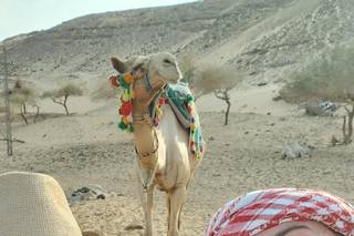 Altaquota Viaggi - 18